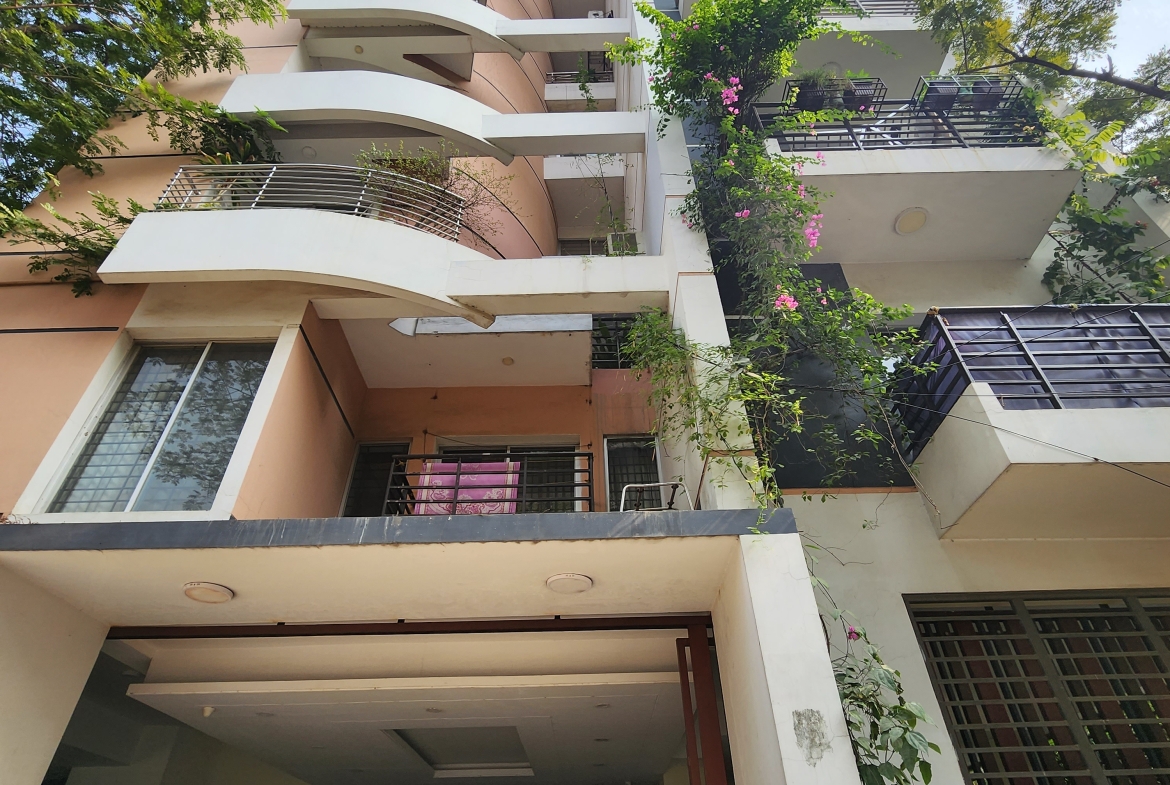 Navida’s Garden