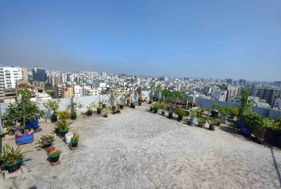 Premier Garden