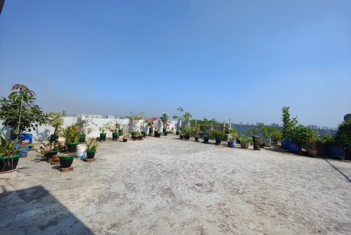 Premier Garden