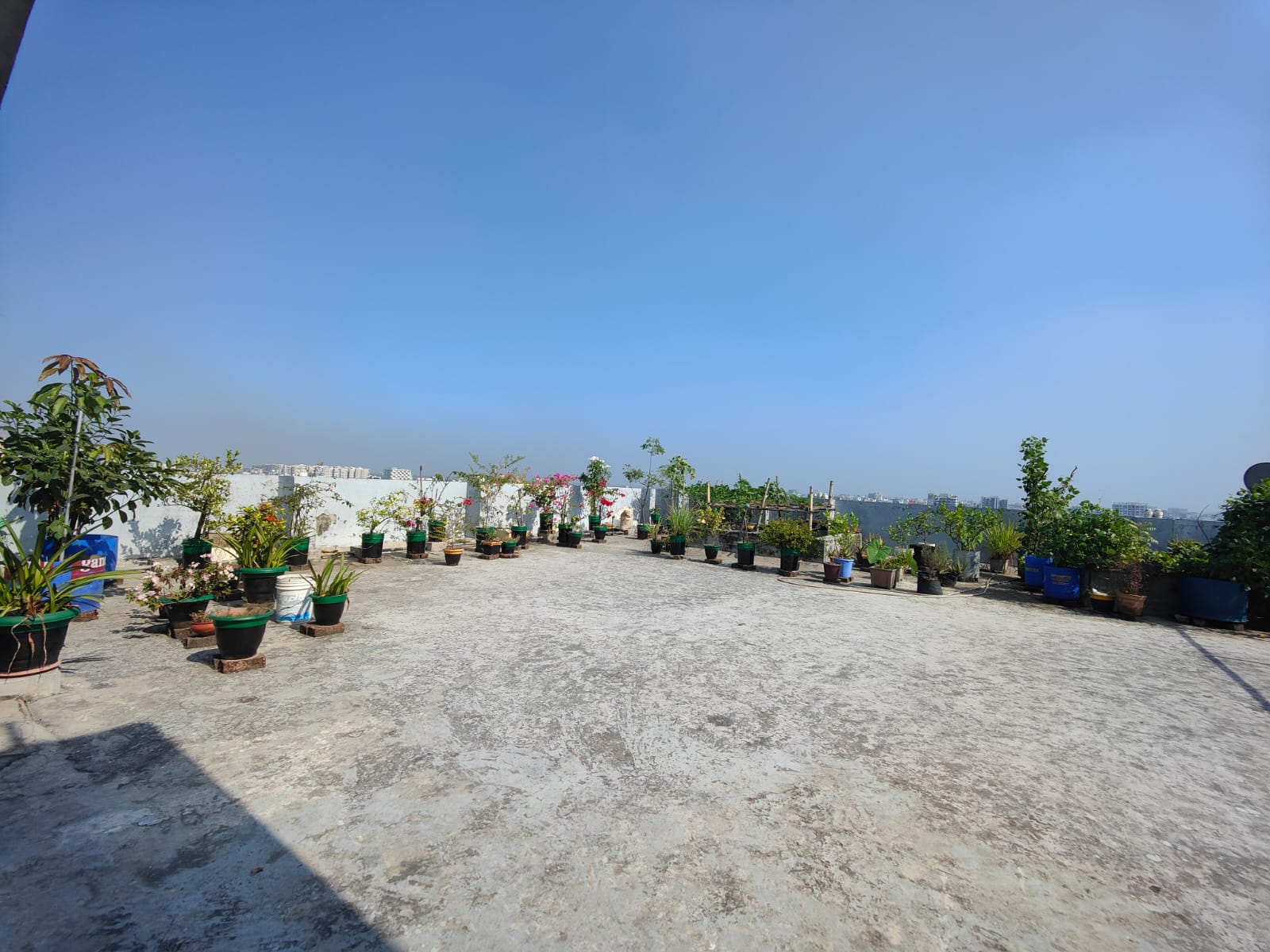 Premier Garden