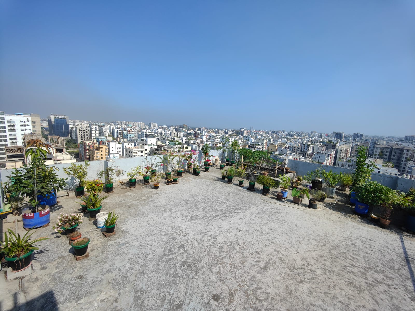 Premier Garden